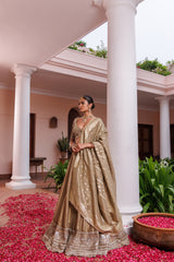 Sage Green Tissue Mirror Embroidered Lehenga Set