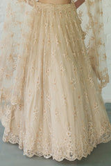 Ivory Net V-neck Embellished Lehenga Set