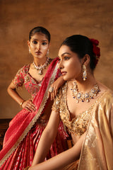 Magenta Tissue jacquard Embroidered Lehenga Choli