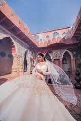 Beige Net & Viscose Georgette 3D Floral Embroidered Lehenga Set