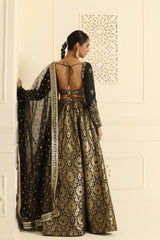 Nakshi sequin, dabka mixed hand crafted choli and banarsi brocade lehenga