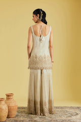 Beige Tissue Embroidered Gharara Set