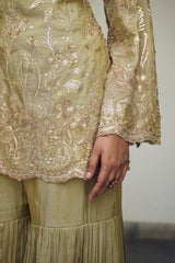 A sea green floral jaal adorned with delicate sequin embellishments.