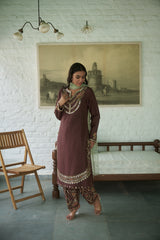 Brown Silk Net V-neck Embroidered Kurta Salwar Set