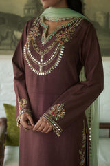 Brown Silk Net V-neck Embroidered Kurta Salwar Set