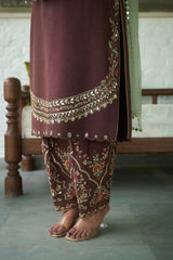 Brown Silk Net V-neck Embroidered Kurta Salwar Set