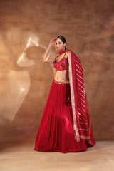 Red Mirror Work Lehenga for Weddings & Festive Wear