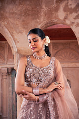 Mouse Colored Net Sequins Embroidered Lehenga Set