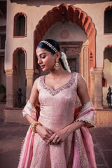 Pink Tissue Hand Embellished Kalidar Anarkali Set