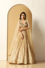 Metallic Stripe Embroidered Lehenga