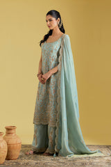 Ice Blue Tissue Embroidered Gharara Set